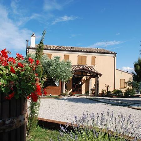 Penzion Briciola Di Sole Grottammare Exteriér fotografie