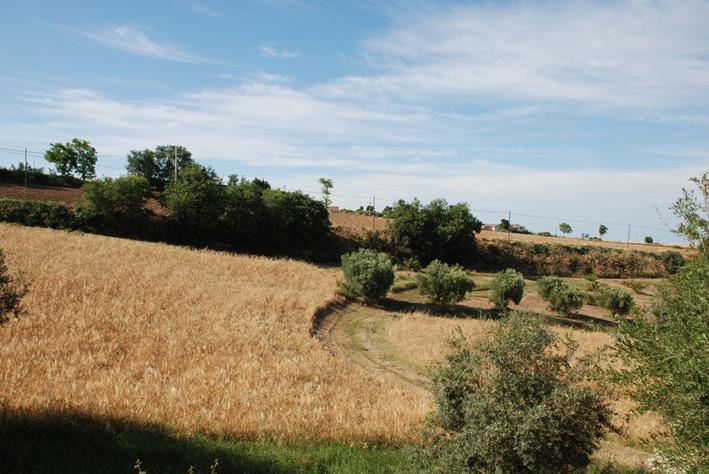 Penzion Briciola Di Sole Grottammare Exteriér fotografie